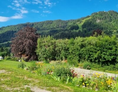 Image de la propriété