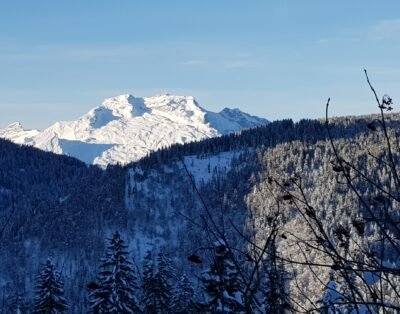 Image de la propriété