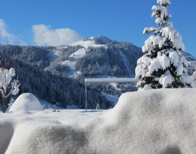 Image de la propriété