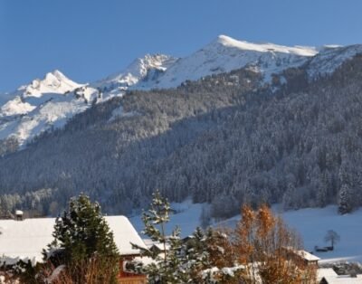 Image de la propriété