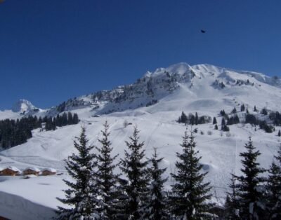 Image de la propriété