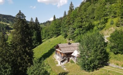 CHALET SOUS LA MOTTE