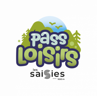pass loisirs les saisies